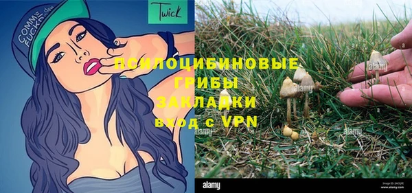 тгк Алексин