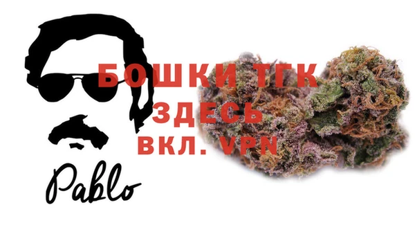 тгк Алексин