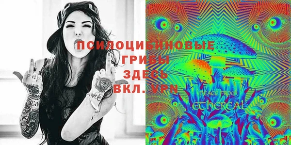 тгк Алексин
