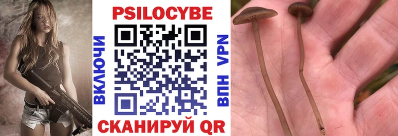 Псилоцибиновые грибы Magic Shrooms  mega вход  Пласт  купить наркотик 